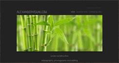 Desktop Screenshot of alexvisual.com