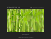 Tablet Screenshot of alexvisual.com